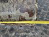 Caterpillar 308 E2 CR A/C - 3 Buckets Photo 13 thumbnail