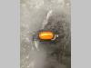 Phare pour Bitelli BB650 Photo 3 thumbnail