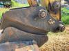 Yanmar VIO75 Photo 12 thumbnail
