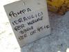 Pompe hydraulique pour Caterpillar 951C - MOTORE 3304 Photo 5 thumbnail