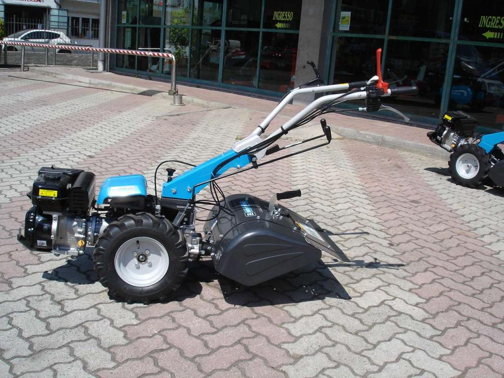 Bertolini 405 S Emak Diesel Photo 2