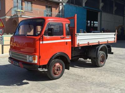 Fiat OM40-50 en vente par Massucco T. Srl