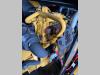 Caterpillar DE50E0 - 50 kVA Generator - DPX-18006 Photo 13 thumbnail