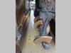 Dynapac SD 2500WS Photo 12 thumbnail