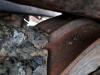 Liebherr PR736LGP Photo 19 thumbnail