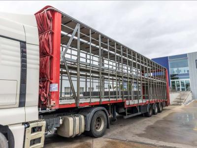Lecitrailer CUELLO CISNE 3E-RD+DOUBLE ETAGE+DHOLLANDIA 2TON en vente par Braem NV
