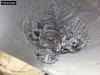 Schmitz SGF*S3 3 axles Lift Axle 32m3 Photo 25 thumbnail