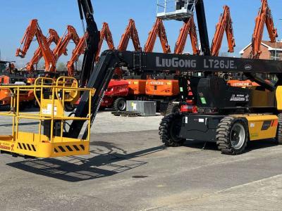 Liugong LT26JE en vente par Massucco T. Srl