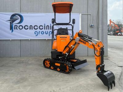 Wortex RAPTOR 600 en vente par Procaccini Group Nord