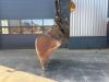 Caterpillar 325 F LCR Photo 9 thumbnail