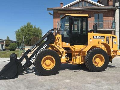 Hyundai HL730TM-7 4x4 en vente par Massucco T. Srl