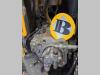 Volvo Hydraulic pump 14531300 for Volvo EC210C L, EC210C LD, EC210C LR... Photo 3 thumbnail