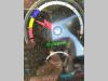 Sany SY26 Photo 14 thumbnail
