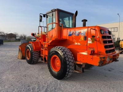 Fiat Hitachi W170 en vente par Skynet Srl