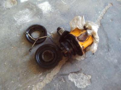 Pignon de distribution pour motore 8365.05 en vente par OLM 90 Srl