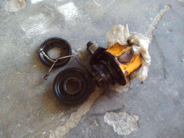 Pignon de distribution pour motore 8365.05 Photo 1