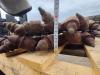 Simex PL4520 Photo 4 thumbnail