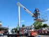 Cela Truck DT37 Photo 7 thumbnail