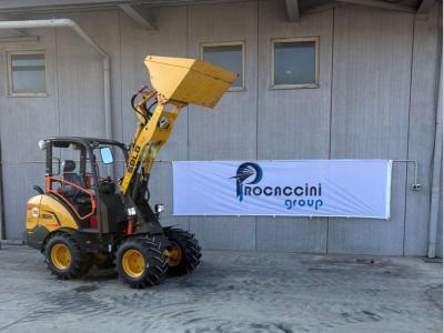 SDLG L902H en vente par Procaccini Group Sud