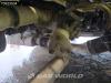 Scania G450 4X2 Hydraulik Leder Photo 15 thumbnail