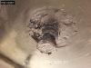 Schmitz SCB*S3B 3 axles Meat Fleisch Doppelverdampfer Photo 30 thumbnail