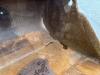 Miller Caterpillar M318D / 320D / 320E / 320F / 323D / 32 Photo 8 thumbnail
