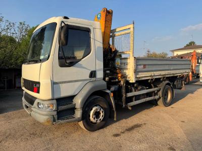 Daf (MACCHINA OPERATRICE) en vente par G.M. Service srl
