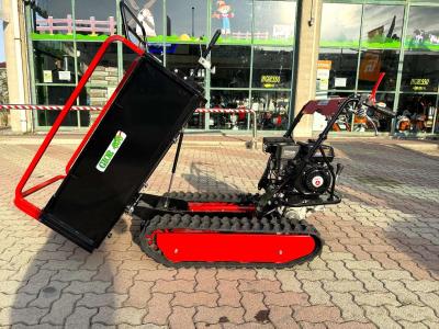 Gior 600 II SERIE ZANETTI - CASSONE AGRICOLO FORESTALE - NOVITA' IN PRONTA CONSEGNA en vente par Giordano Srl