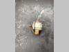 Pompe hydraulique pour Bitelli BB650 Photo 2 thumbnail