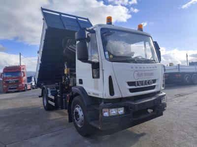 Iveco EUROCARGO 180E25 en vente par Procida Macchine S.r.l.