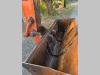 Hitachi ZX 160LC-5B Photo 7 thumbnail