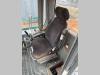 Liebherr 550 2plus2 Photo 9 thumbnail