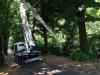 Cela DT28 Photo 9 thumbnail