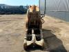 Trevi Benne Pulveriser FR35 Photo 7 thumbnail