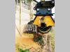EMM Fresaceppi per escavatore 7 / 14 ton Photo 2 thumbnail