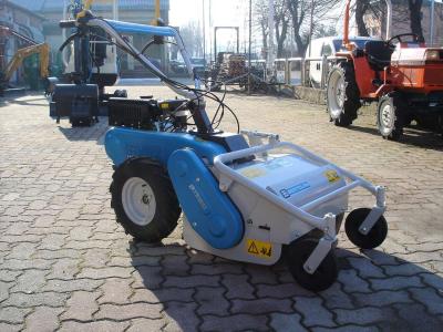 Bertolini BTS 50 - EMAK - CM 55 en vente par Giordano Srl