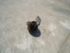 Poulie pour Fiat Kobelco 235 Photo 2 thumbnail