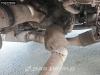 Scania G450 4X2 German Truck Hydraulik Leather Seats Photo 14 thumbnail