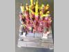 Distributeur hydraulique pour New Holland E 215 Photo 3 thumbnail