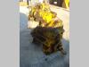 Transmission pour Benati 22 SB Photo 6 thumbnail