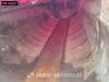 Renault T 520 6X4 Photo 13 thumbnail