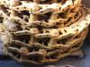 Chaînes pour Caterpillar D6T Photo 1 thumbnail