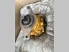 Komatsu Moteur de rotation pour Komatsu PC180-3 Photo 1 thumbnail