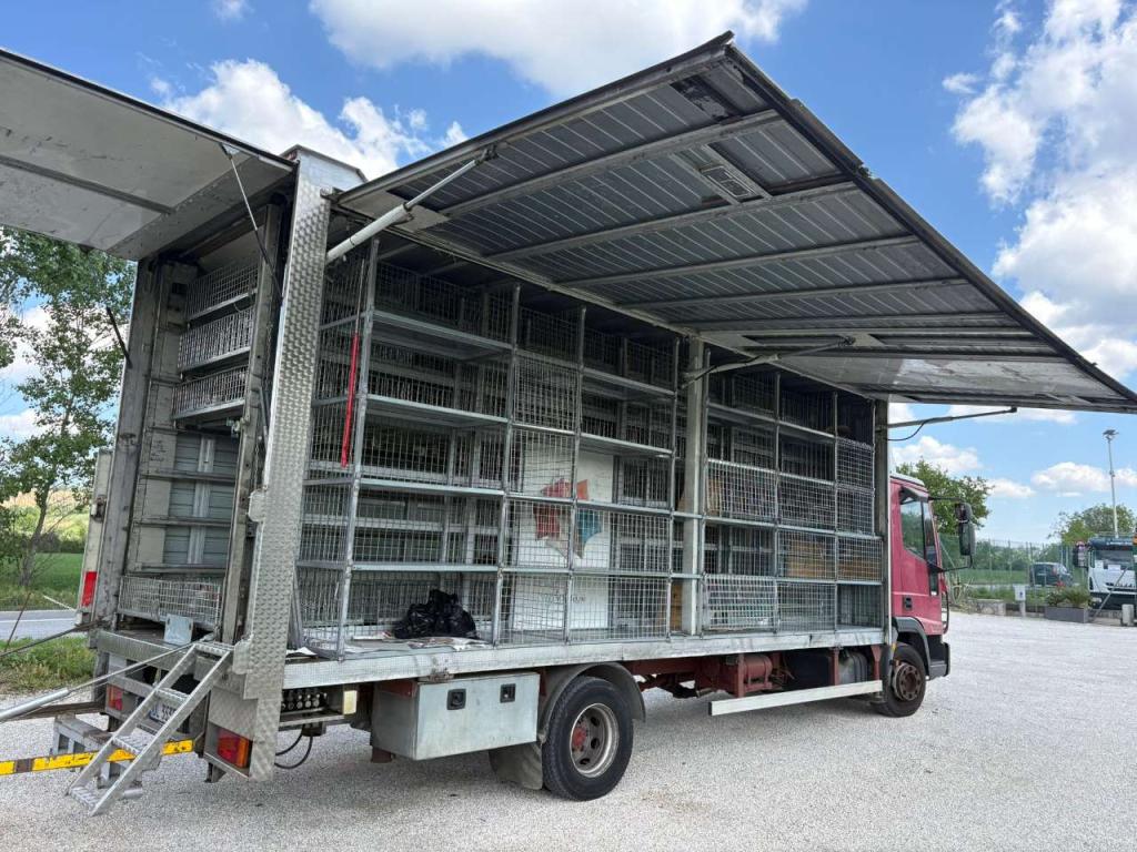 Iveco EUROCARGO 80E21 Photo 11