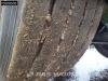 Nooteboom 0VB-42-03V 3 axles 3x Steering 1xLiftingAxle Extendable 650cm Photo 24 thumbnail