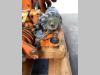 Deutz 4 cilindri Photo 10 thumbnail