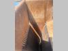 OM Container Scarrabile Photo 8 thumbnail