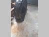 Roue folle pour Daewoo solar 340  solar 330 Photo 1 thumbnail