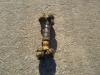 Arbre de transmission pour Fiat Hitachi FR220 Photo 2 thumbnail