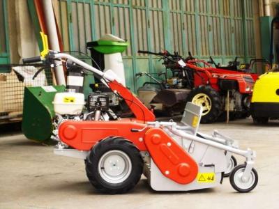 Efco DR 65 HONDA HP 9.5 en vente par Giordano Srl